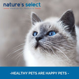 Select Cat & Kitten Recipe (15lb)